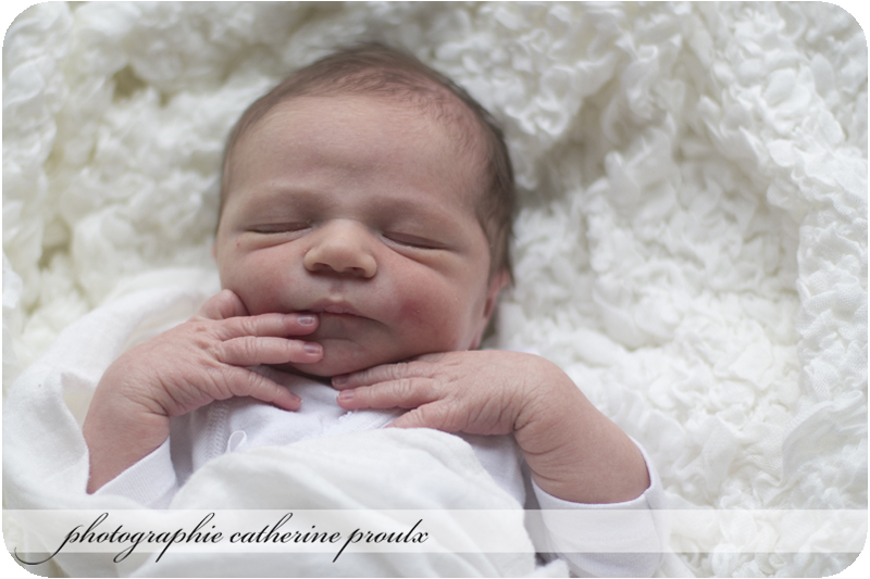 2012-01-07-Raphael1