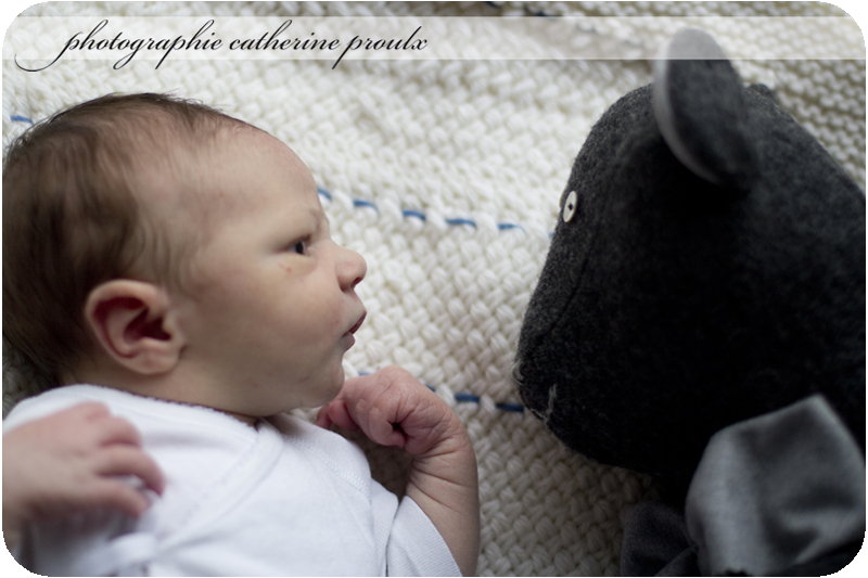 2012-01-07-Raphael2