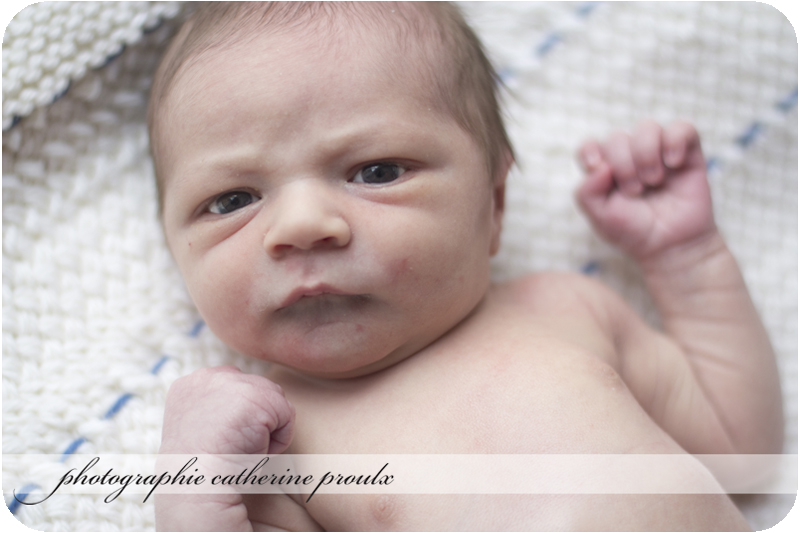 2012-01-07-Raphael4